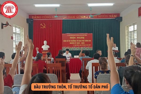 Nghị định 59/2023/NĐ-CP quy định bầu Trưởng thôn, Tổ trưởng tổ dân phố theo quy trình ra sao?